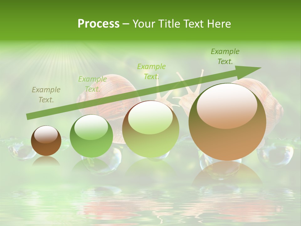 Wildlife Bug Lovemaking PowerPoint Template