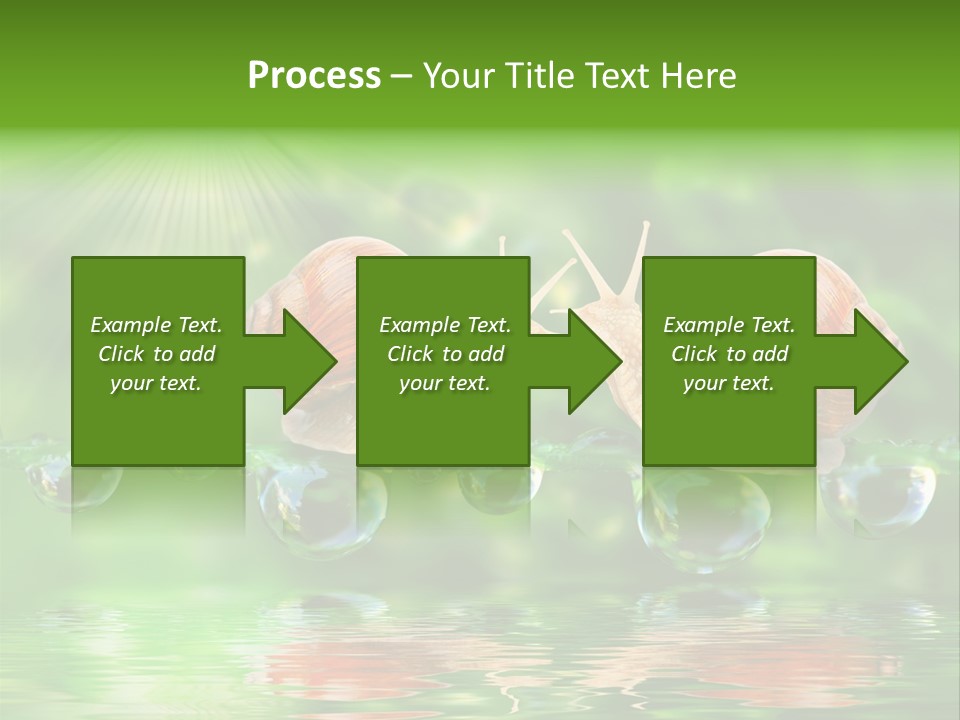 Wildlife Bug Lovemaking PowerPoint Template