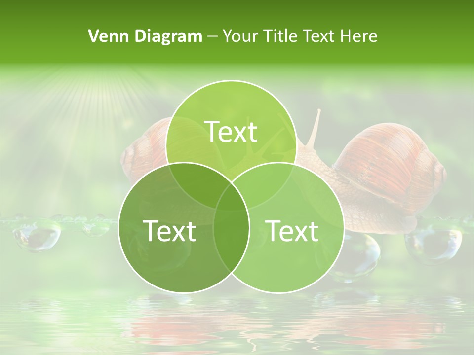 Wildlife Bug Lovemaking PowerPoint Template