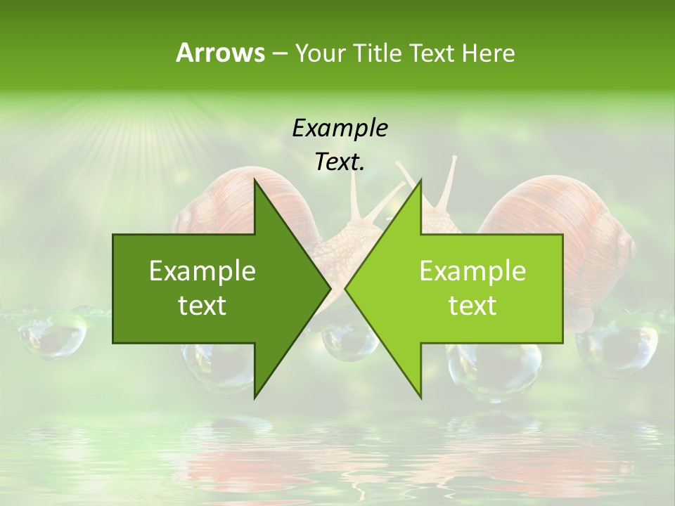 Wildlife Bug Lovemaking PowerPoint Template