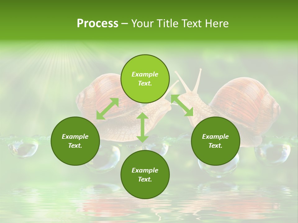 Wildlife Bug Lovemaking PowerPoint Template