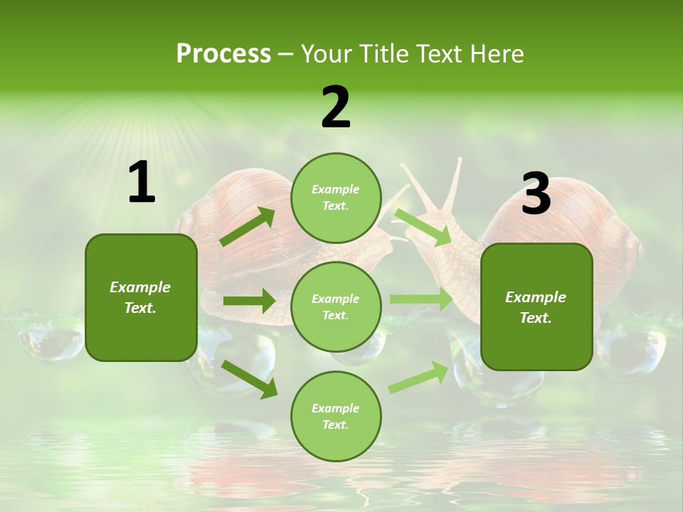 Wildlife Bug Lovemaking PowerPoint Template