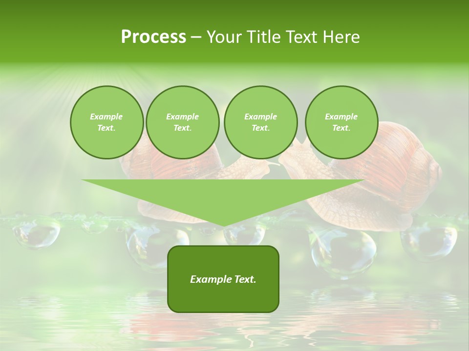 Wildlife Bug Lovemaking PowerPoint Template