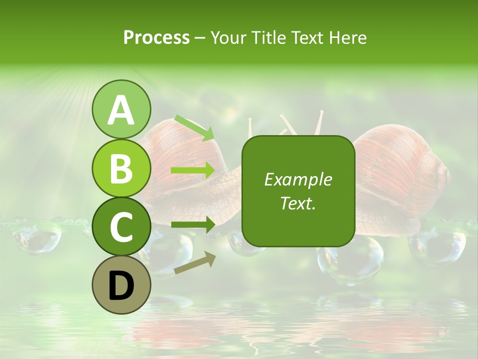 Wildlife Bug Lovemaking PowerPoint Template