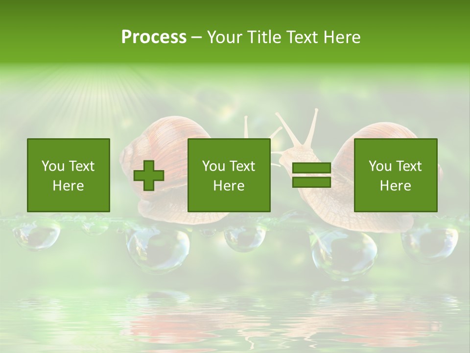 Wildlife Bug Lovemaking PowerPoint Template