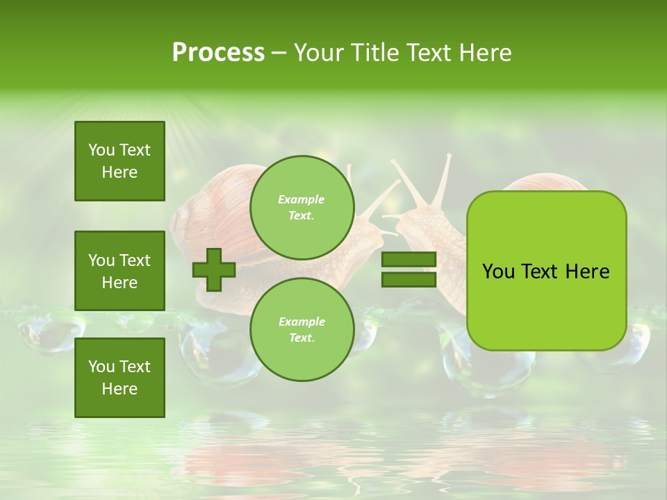 Wildlife Bug Lovemaking PowerPoint Template