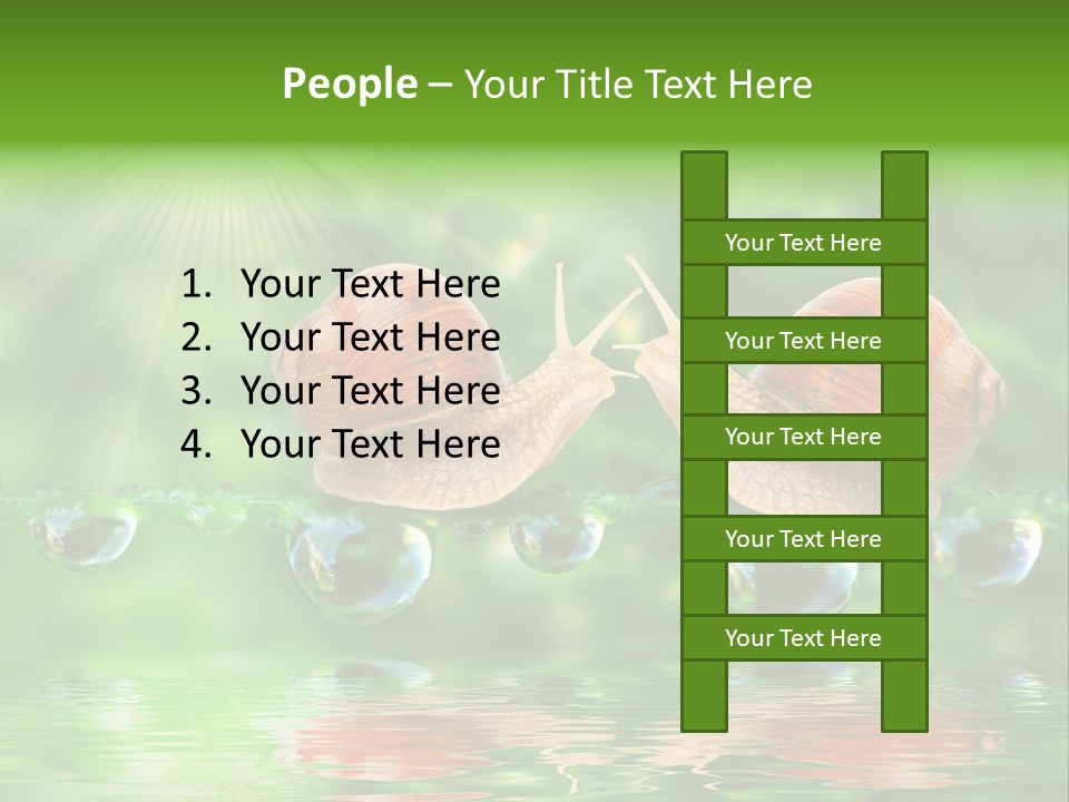 Wildlife Bug Lovemaking PowerPoint Template
