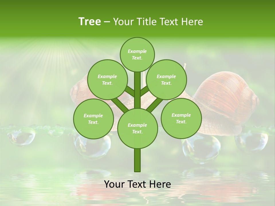 Wildlife Bug Lovemaking PowerPoint Template