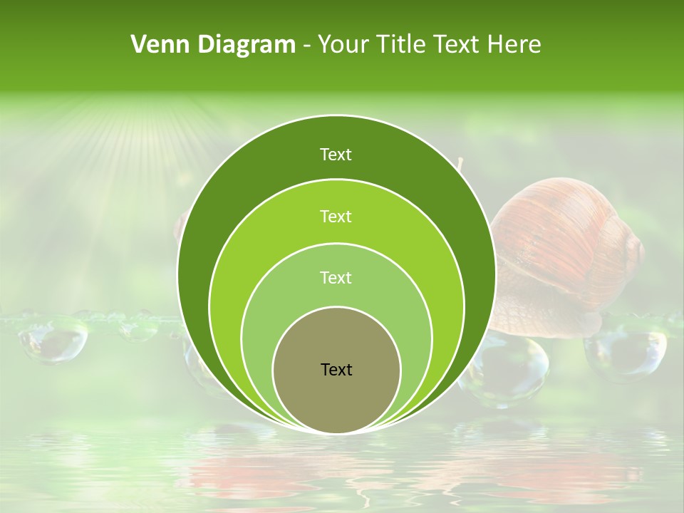 Wildlife Bug Lovemaking PowerPoint Template