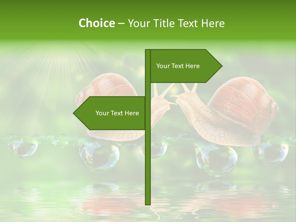 Wildlife Bug Lovemaking PowerPoint Template