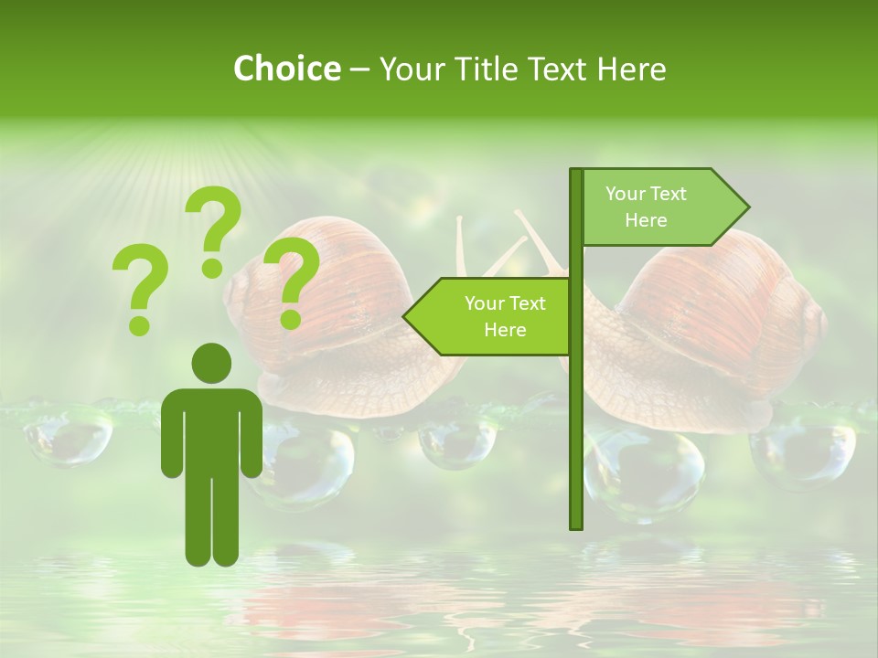 Wildlife Bug Lovemaking PowerPoint Template