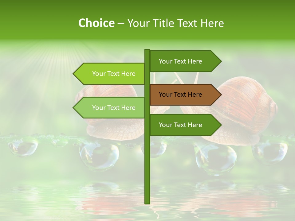 Wildlife Bug Lovemaking PowerPoint Template