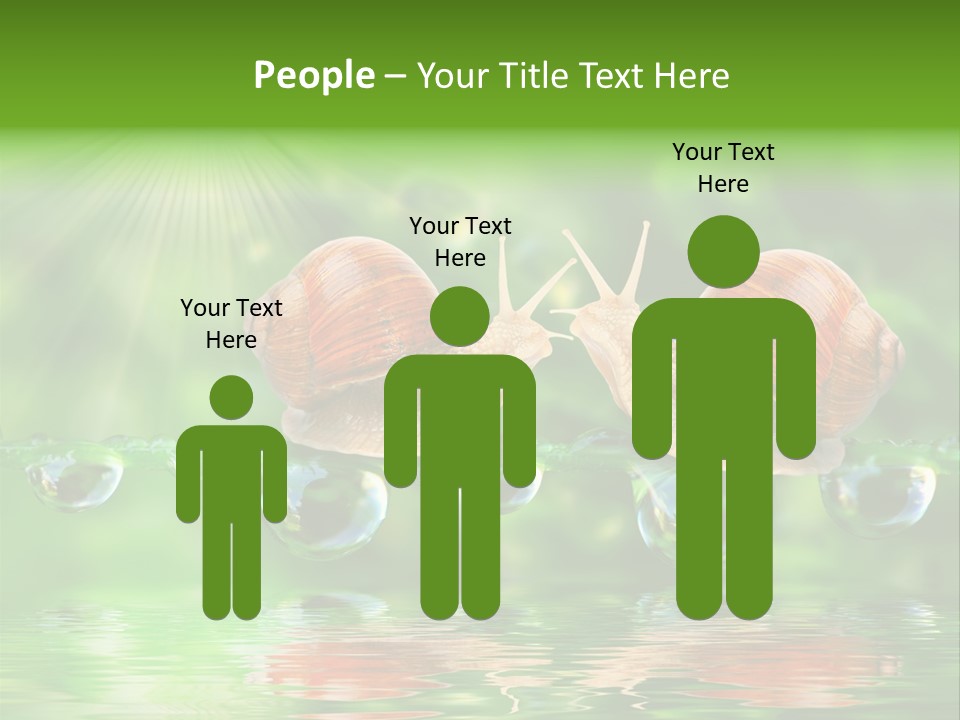 Wildlife Bug Lovemaking PowerPoint Template