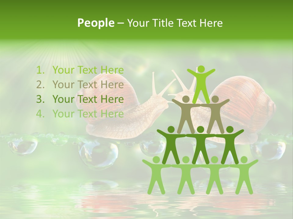 Wildlife Bug Lovemaking PowerPoint Template