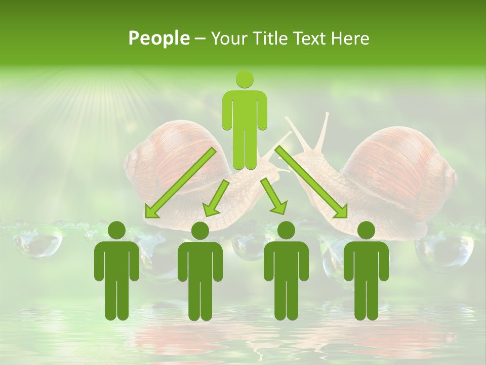 Wildlife Bug Lovemaking PowerPoint Template