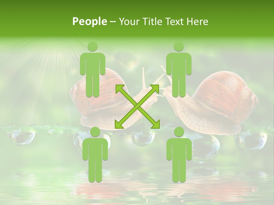 Wildlife Bug Lovemaking PowerPoint Template