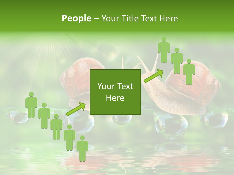 Wildlife Bug Lovemaking PowerPoint Template