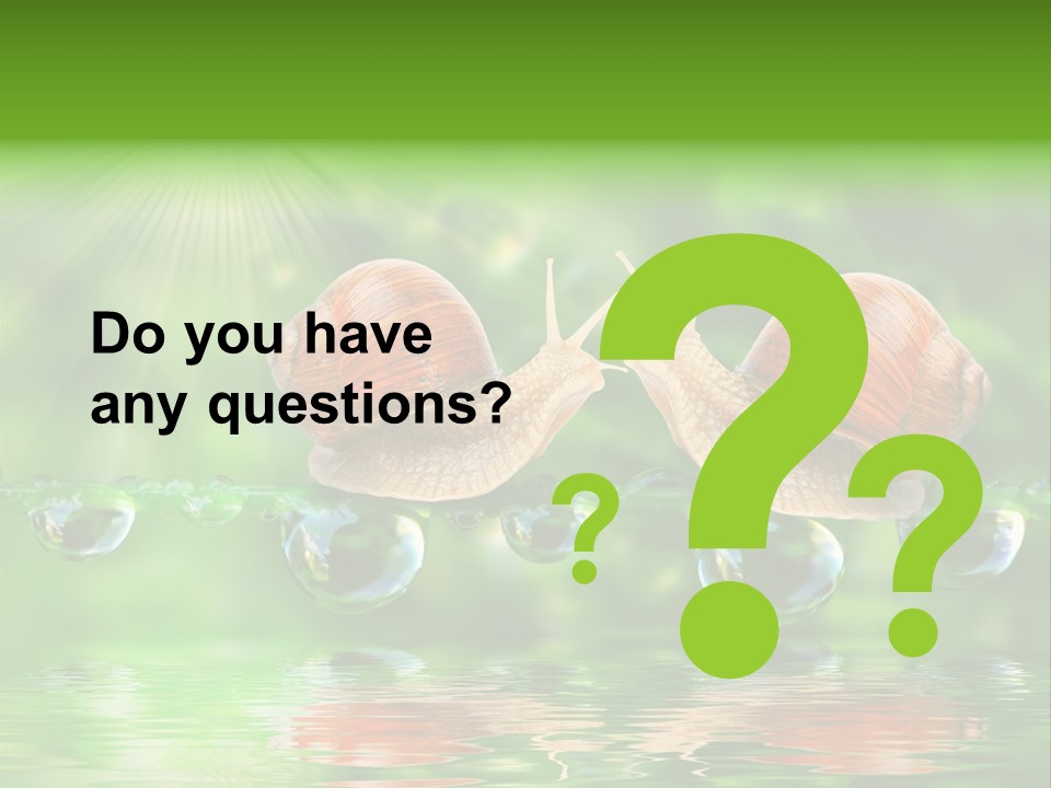 Wildlife Bug Lovemaking PowerPoint Template