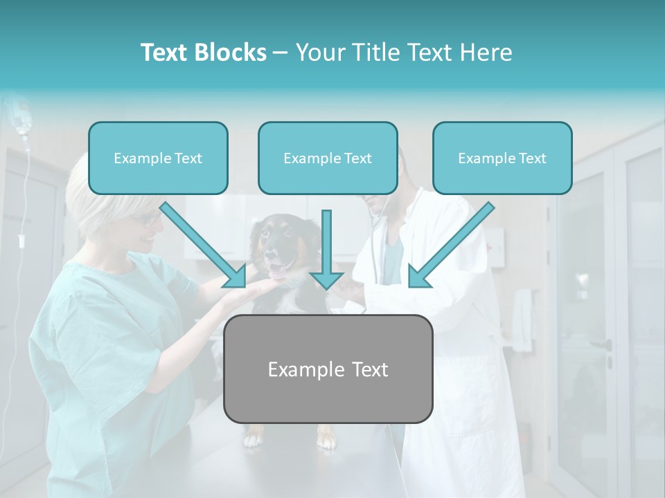 Doctor Holding Woman PowerPoint Template