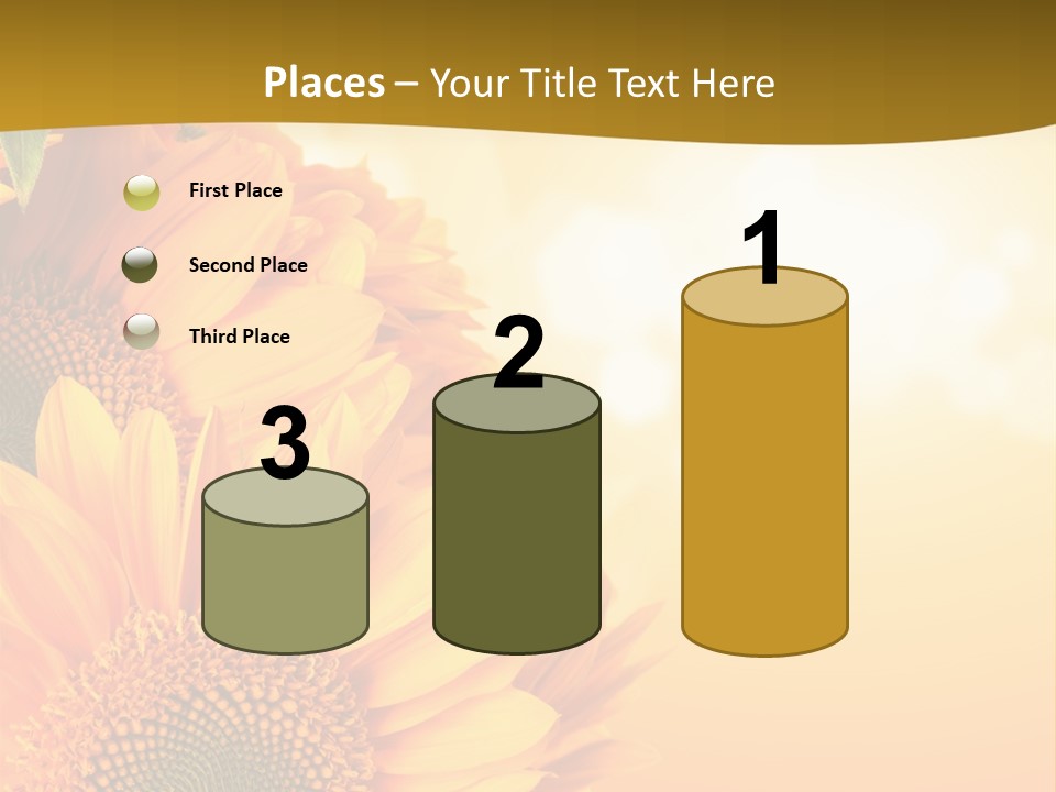 Figure Board Meeting PowerPoint Template