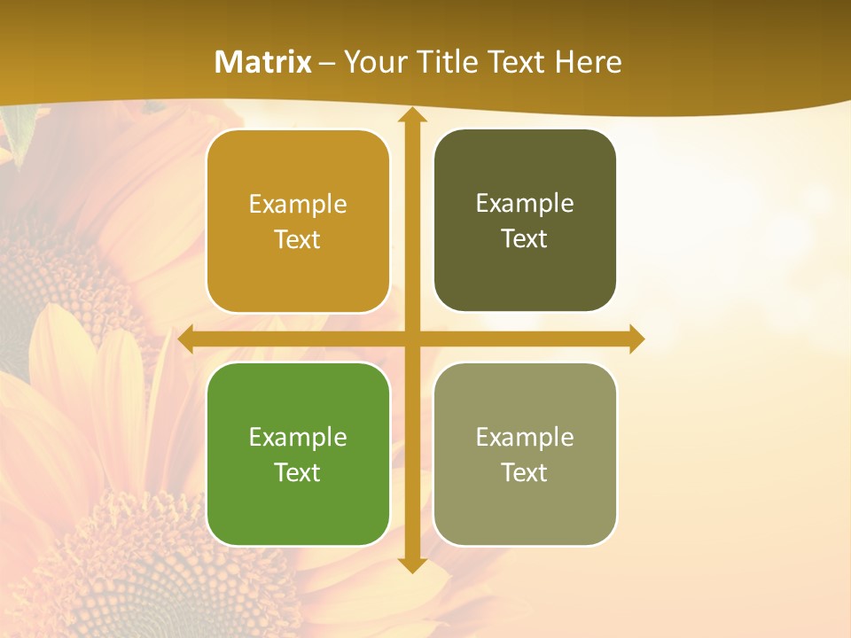 Figure Board Meeting PowerPoint Template