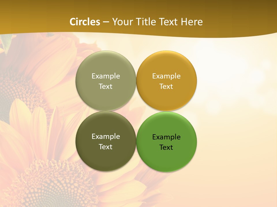 Figure Board Meeting PowerPoint Template