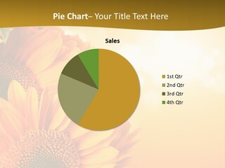 Figure Board Meeting PowerPoint Template