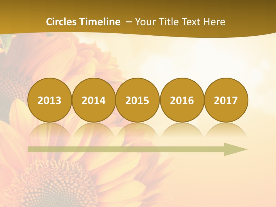 Figure Board Meeting PowerPoint Template