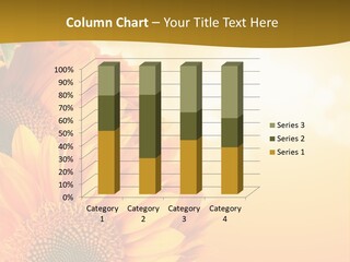 Figure Board Meeting PowerPoint Template