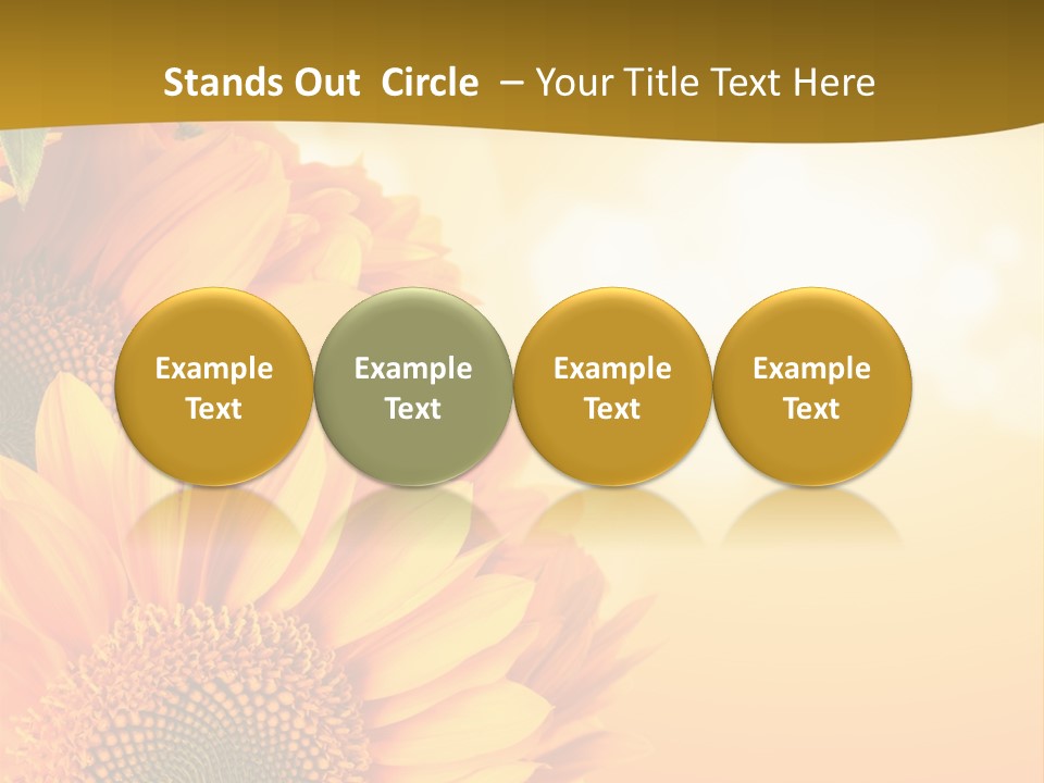 Figure Board Meeting PowerPoint Template