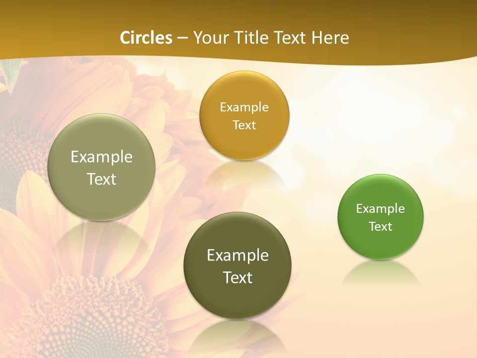 Figure Board Meeting PowerPoint Template
