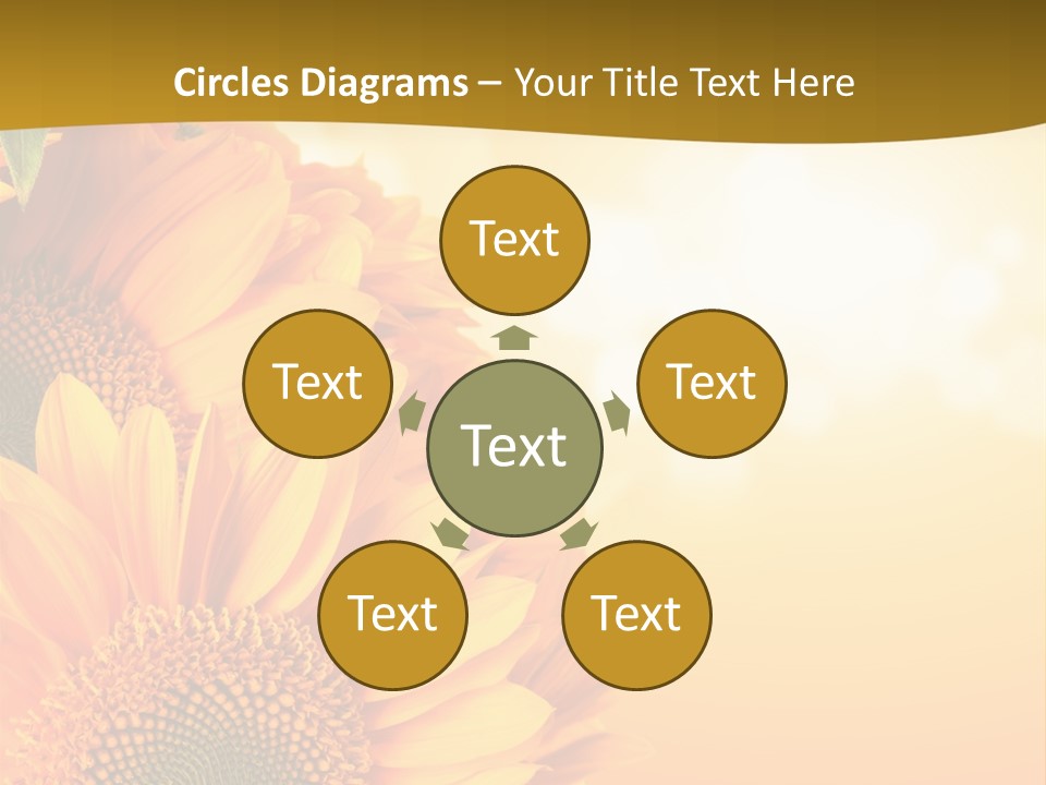 Figure Board Meeting PowerPoint Template