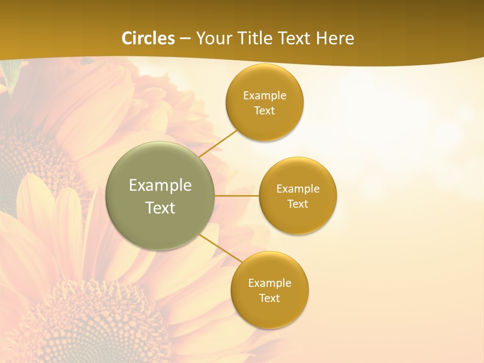 Figure Board Meeting PowerPoint Template