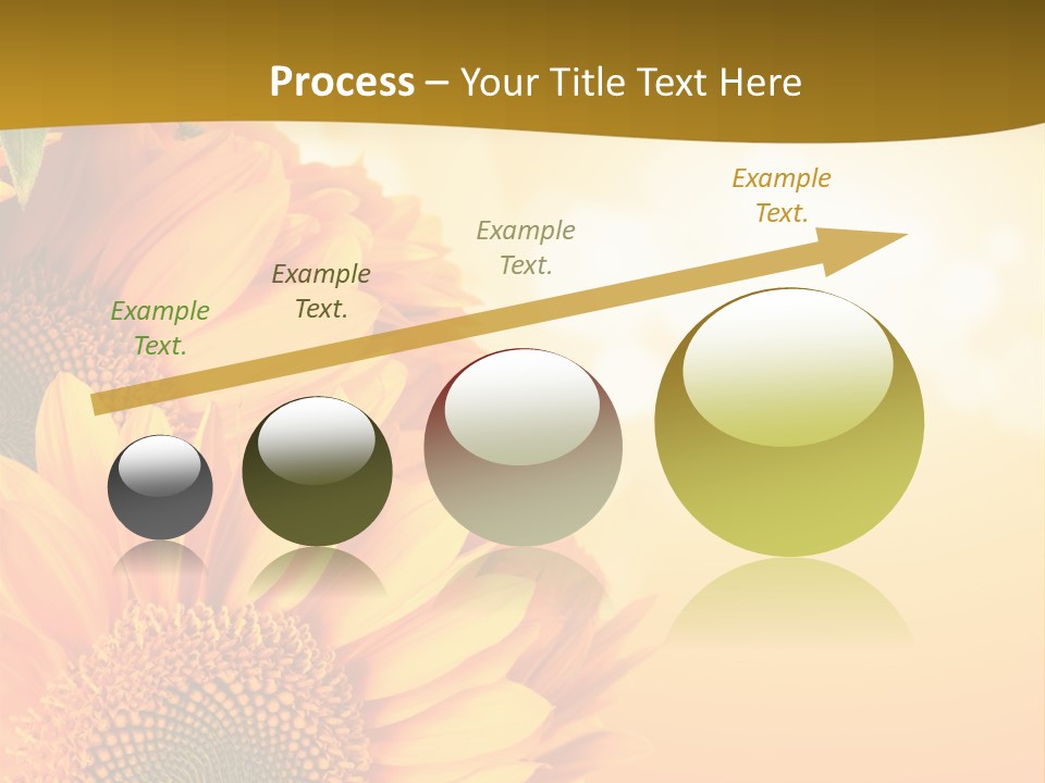 Figure Board Meeting PowerPoint Template