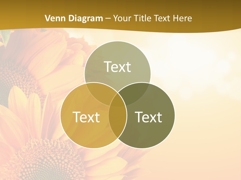 Figure Board Meeting PowerPoint Template