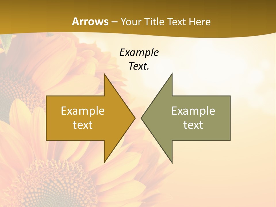 Figure Board Meeting PowerPoint Template