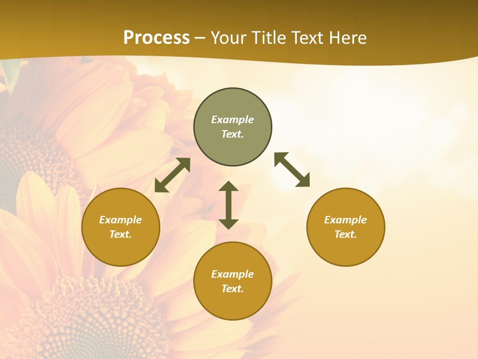 Figure Board Meeting PowerPoint Template