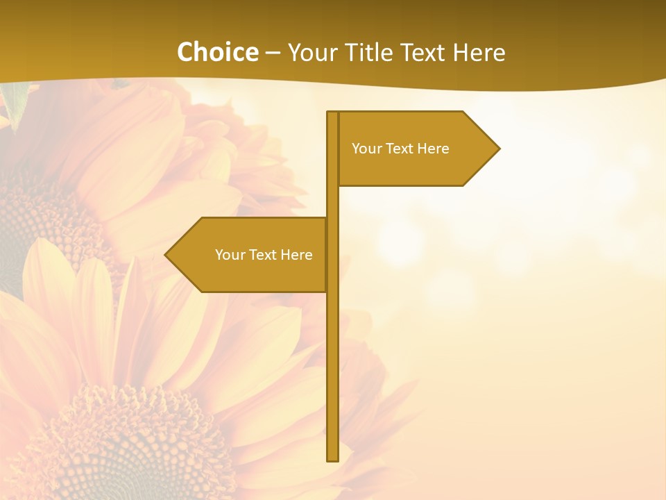 Figure Board Meeting PowerPoint Template
