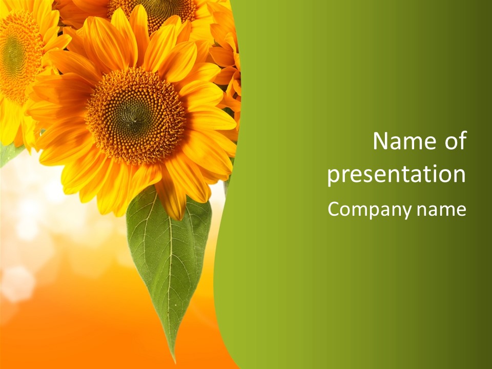 Figure Boardroom Group PowerPoint Template