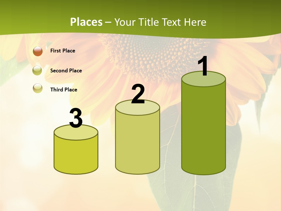 Figure Boardroom Group PowerPoint Template