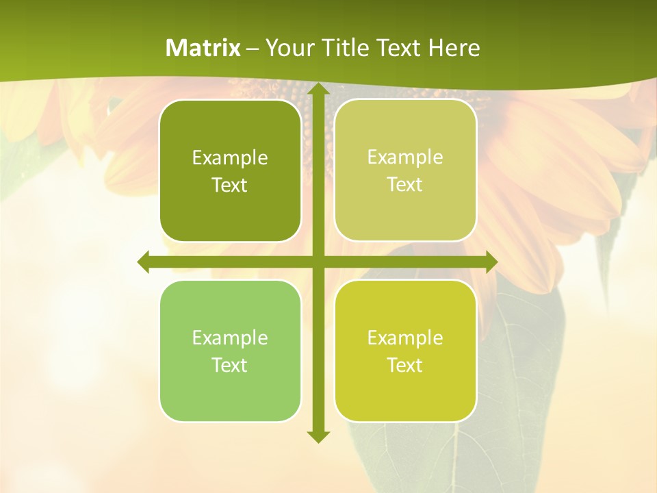 Figure Boardroom Group PowerPoint Template