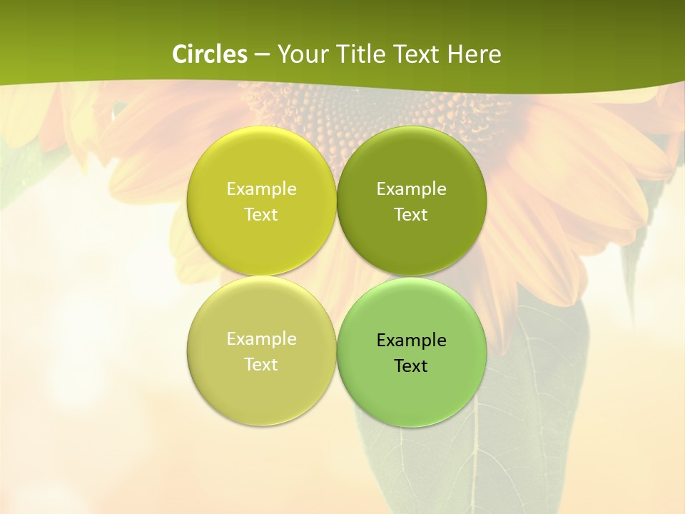 Figure Boardroom Group PowerPoint Template