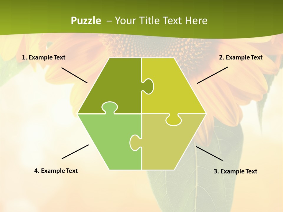 Figure Boardroom Group PowerPoint Template