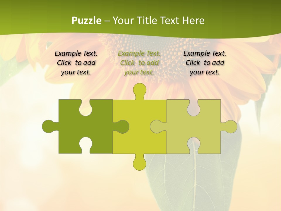 Figure Boardroom Group PowerPoint Template