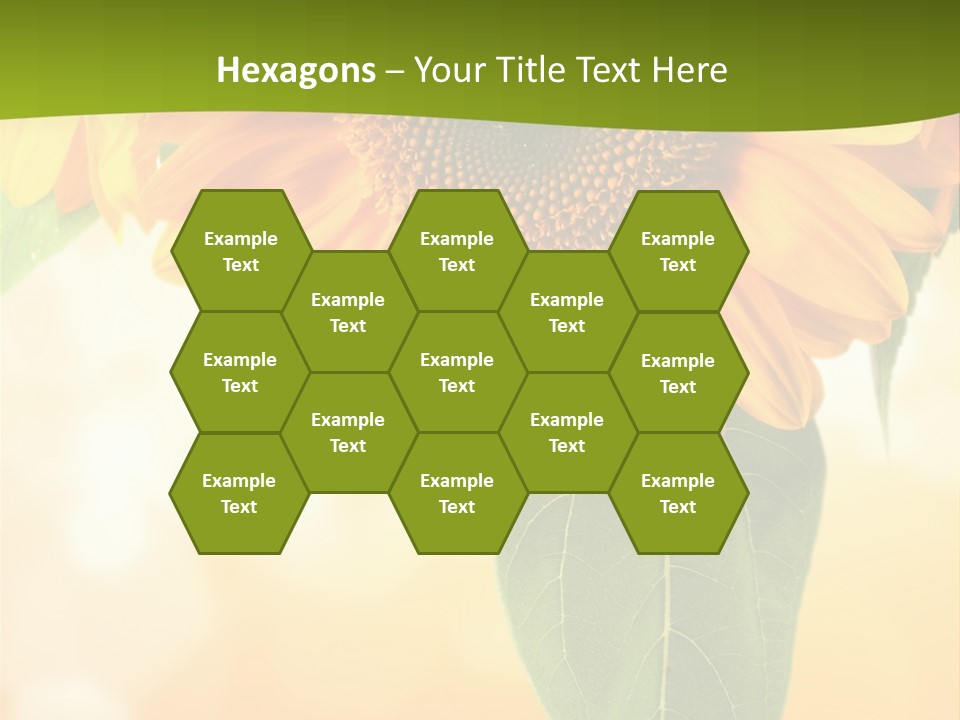 Figure Boardroom Group PowerPoint Template