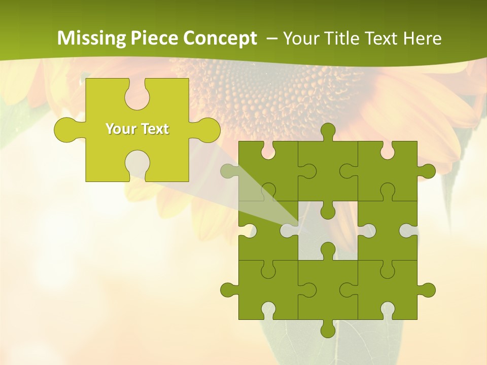 Figure Boardroom Group PowerPoint Template