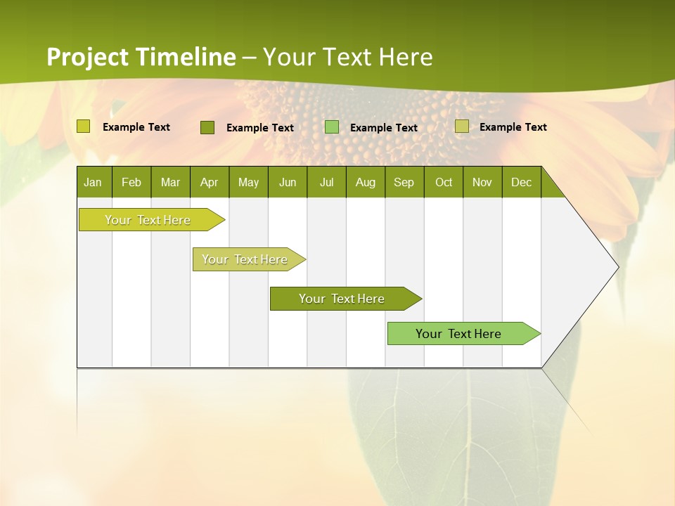 Figure Boardroom Group PowerPoint Template