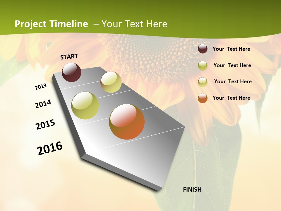 Figure Boardroom Group PowerPoint Template