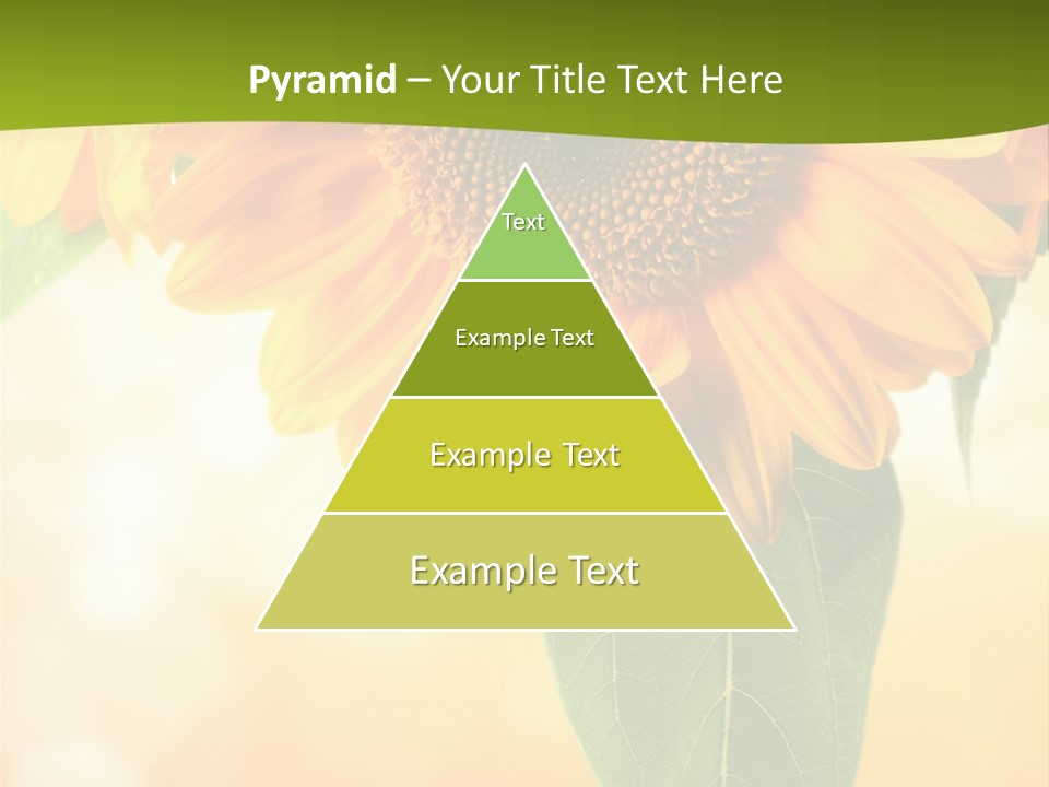 Figure Boardroom Group PowerPoint Template
