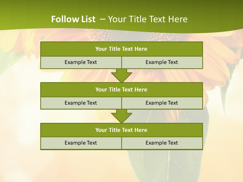 Figure Boardroom Group PowerPoint Template